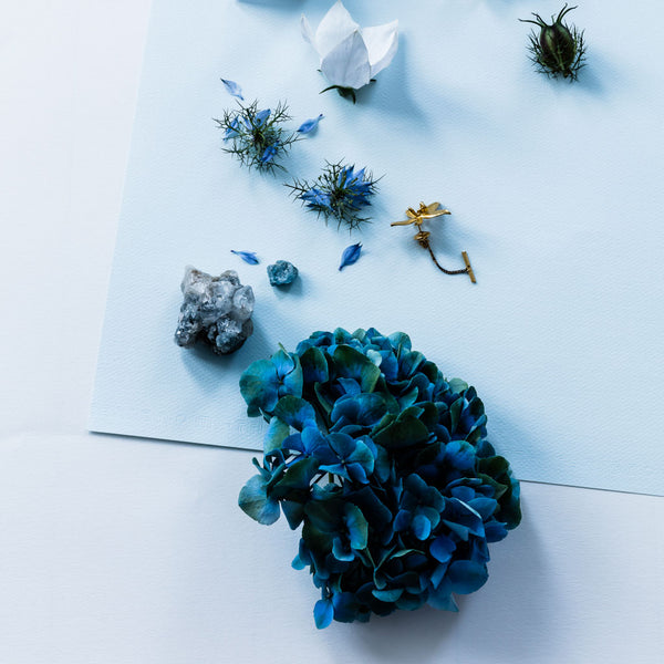 Blue Stills Print