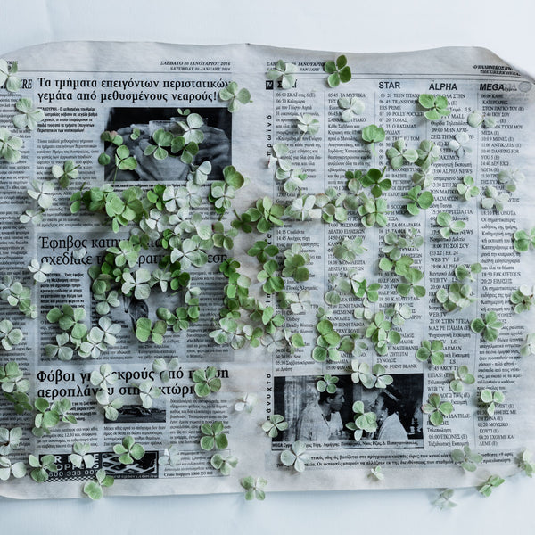 Newsprint Print