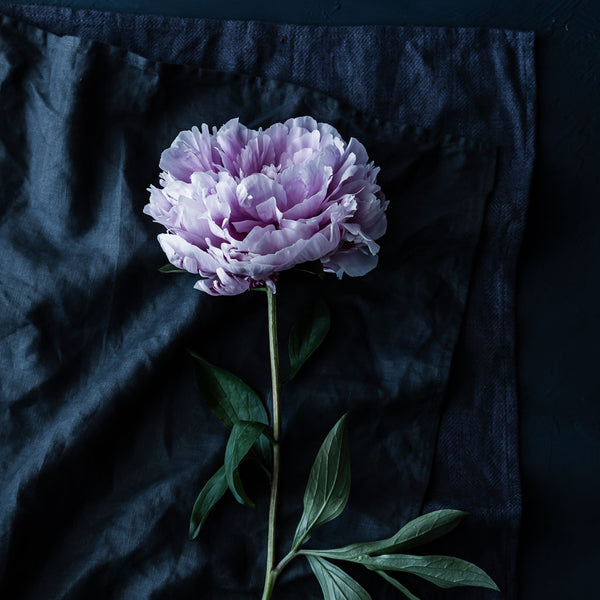Peony With Stem Print