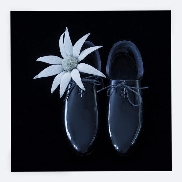 Black Shoes Greeting Card